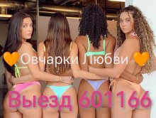 Проститутка Овчарки Любви 601166 - Южно-Сахалинск