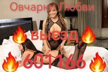 Проститутка Овчарки Любви 601166 - Южно-Сахалинск